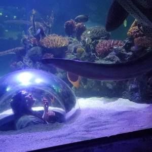 Meet your Posher, Summer